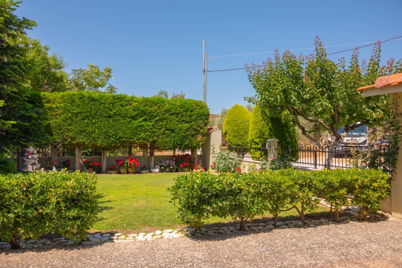 HOMELIA · ROOMS THASSOS